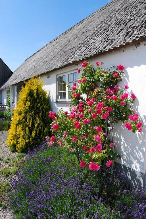 S\u00E4derg\u00E5rda \u00D6stra Bed & Breakfast Hammenhög Esterno foto